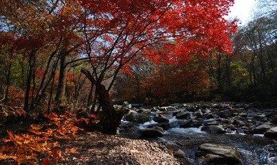 山西人自己的风景名胜：长治老顶山