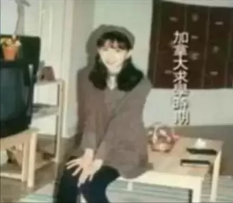 林志玲比基尼写真(远嫁日本后的林志玲现状)