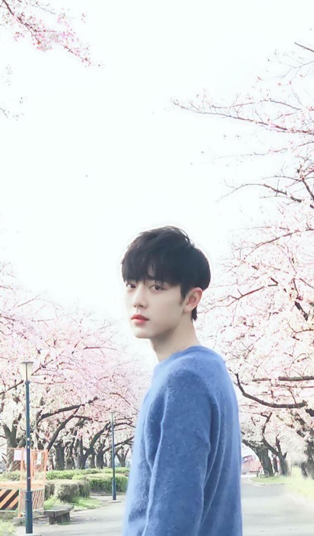 哇唧唧哇旗下艺人名单（哇唧唧哇旗下的艺人有哪些你知道吗）