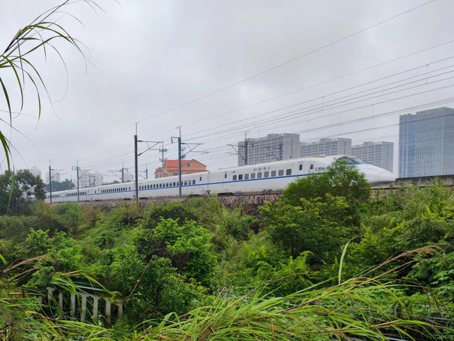 2035年超50万人口城市通高铁(我的家乡通高铁了)(3)