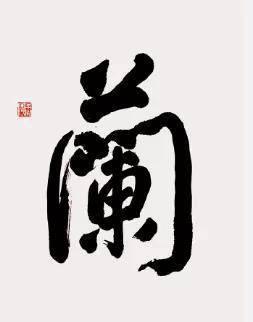 羡慕童文洁儿子女儿外甥高考成功?现实中,海清儿子也是超级学霸