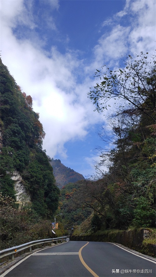 天全喇叭河，不容错过的川西彩林，层林尽染，金秋周末游推荐