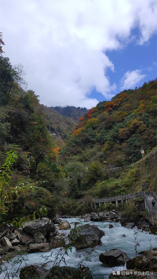 天全喇叭河，不容错过的川西彩林，层林尽染，金秋周末游推荐