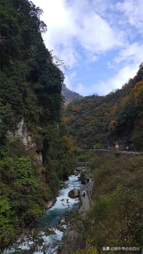 天全喇叭河，不容错过的川西彩林，层林尽染，金秋周末游推荐