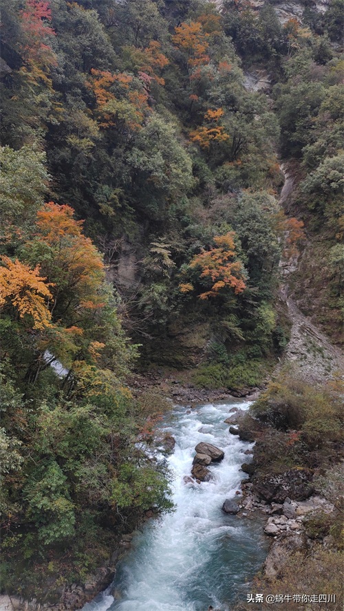 天全喇叭河，不容错过的川西彩林，层林尽染，金秋周末游推荐