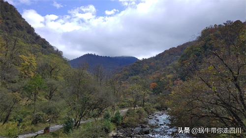 天全喇叭河，不容错过的川西彩林，层林尽染，金秋周末游推荐