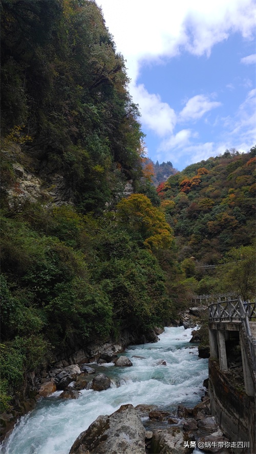 天全喇叭河，不容错过的川西彩林，层林尽染，金秋周末游推荐