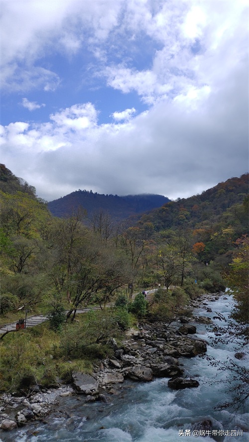 天全喇叭河，不容错过的川西彩林，层林尽染，金秋周末游推荐