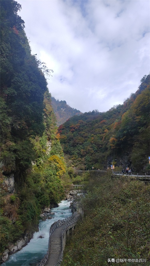 天全喇叭河，不容错过的川西彩林，层林尽染，金秋周末游推荐