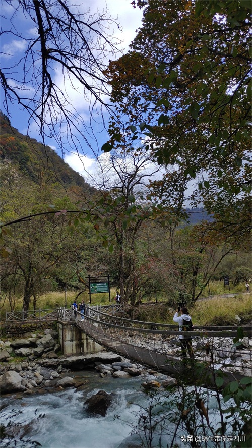天全喇叭河，不容错过的川西彩林，层林尽染，金秋周末游推荐