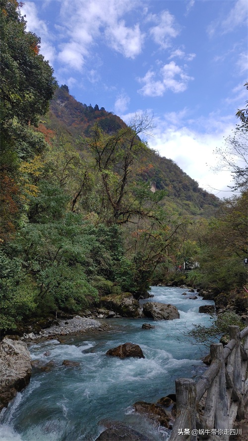天全喇叭河，不容错过的川西彩林，层林尽染，金秋周末游推荐