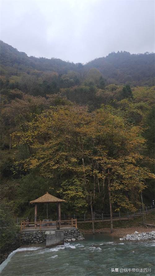 天全喇叭河，不容错过的川西彩林，层林尽染，金秋周末游推荐