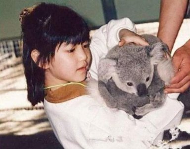 ​“清纯女神”陈妍希的幻灭史