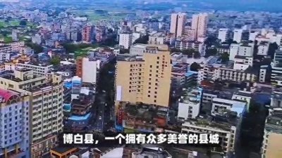 ​博白县：地区生产总值达359.25亿元，增速居全市第二