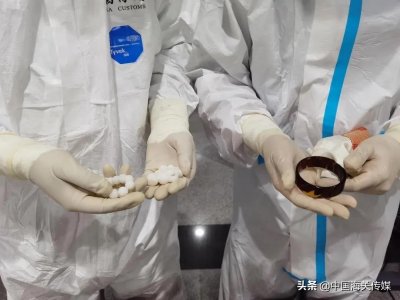 ​玳瑁、砗磲虽美，不要轻易携带