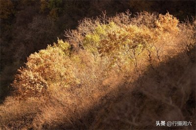 ​山村寡母大姐养羊10年，为儿子娶媳妇建起5间新房，落了一场空