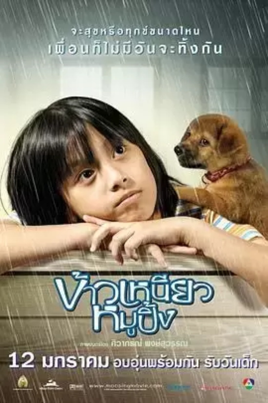 泰国高分电影有哪些好看的（盘点泰国评分最高的19部电影）