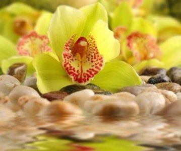 ​天秤座是唯一没有灵魂的星座，他不比其他星座，有血有肉