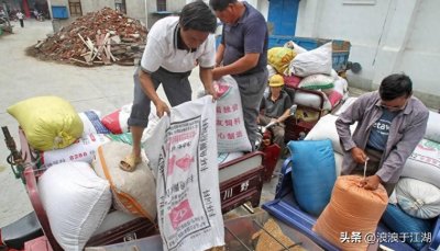 ​农村做什么最赚钱？这7个“捡钱”的生意，门槛低，有手就能做