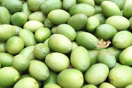 三棱橄榄哪里最出名