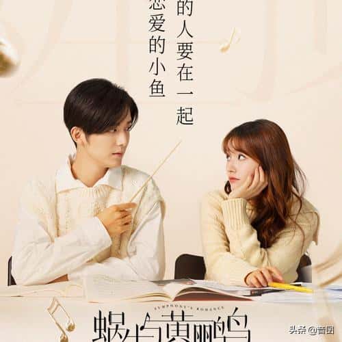 张新成演的所有电视剧都有哪些(张新成演过的电视剧)