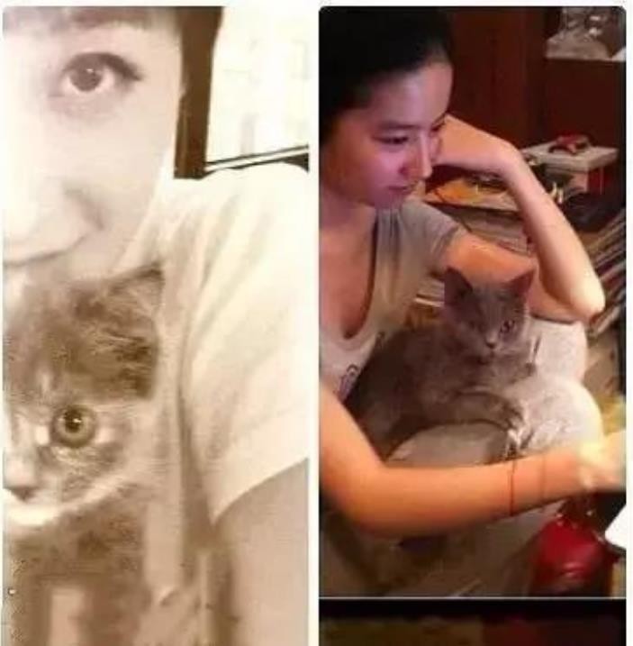 曾轶可爸爸是谁(高开低走曾轶可唱功差却晋级)