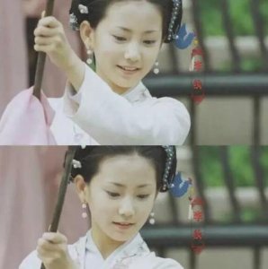 ​小小戏骨红楼梦(红楼梦小宝钗小黛玉)