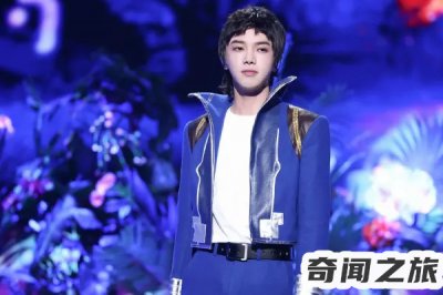 ​华晨宇个人家庭背景（有着庞大的家族企业年销售额估达18个亿）