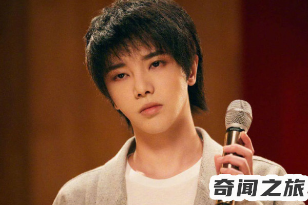 华晨宇个人家庭背景（有着庞大的家族企业年销售额估达18个亿）(4)_