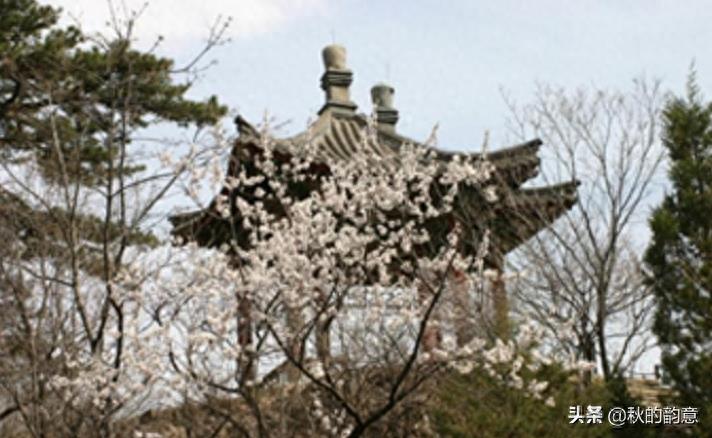 妙峰山风景区位于北京市门头沟区妙峰山镇,3A级旅游景区