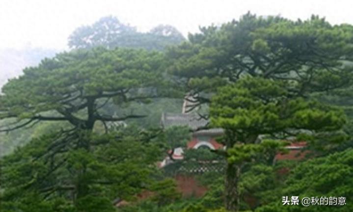 妙峰山风景区位于北京市门头沟区妙峰山镇,3A级旅游景区