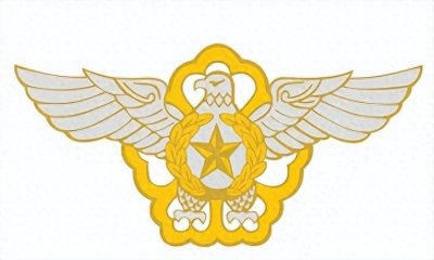 ​韩国空军的组织结构，兵力部署与武器装备