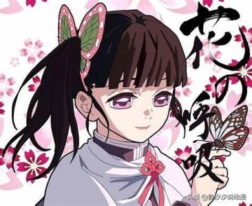 ​《鬼灭之刃》全员战力排行！霞柱竟然只能勉强跻身前十？