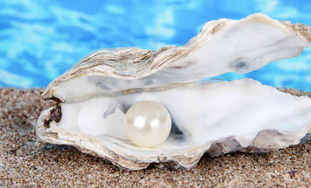 珍珠形成的成因是什么
