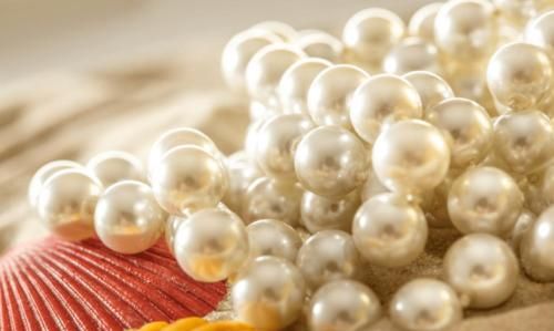 海底珍珠是怎样形成的视频