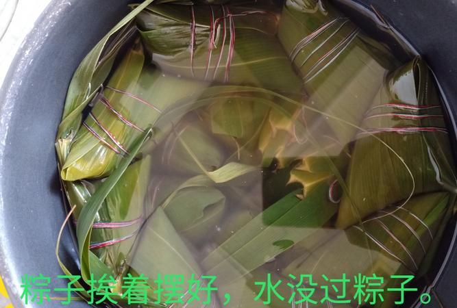 生粽子煮多久能熟