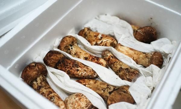 鲜姬松茸怎么处理