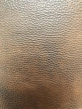 如何分辨皮衣是不是真皮(通过哪些实用的小方法)(5)