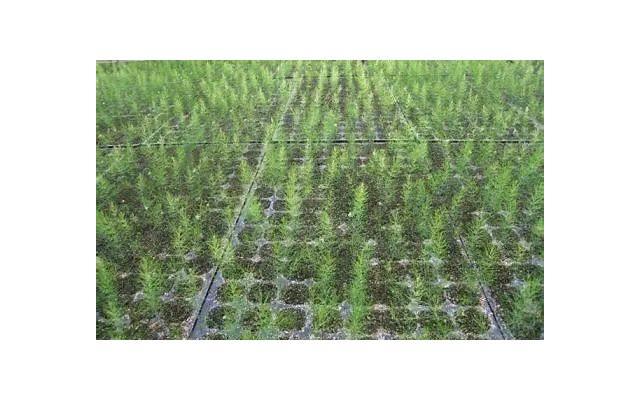 初次约会怎么给女生留下好印象(第一次和女生约会怎么留下好印象) 初次约会怎么给女生留下好印象(第一次和女生约会怎么留下好印象)