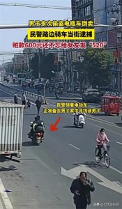 ​53岁男子盗卖电瓶车得600元给女友发520，网友：我偷电瓶车养你