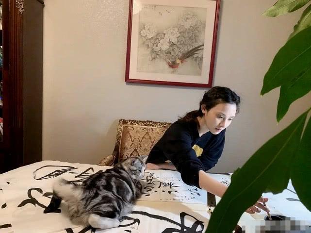 女神彭小苒不仅颜值高,原来私下还这样多才多艺