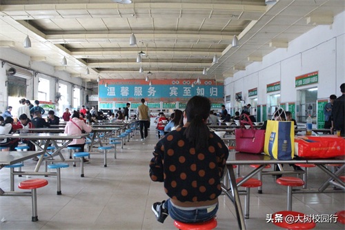 《大树校园行》之河南工业大学嵩山路校区