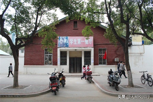 《大树校园行》之河南工业大学嵩山路校区