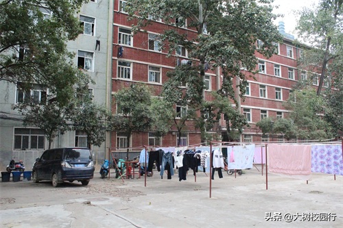 《大树校园行》之河南工业大学嵩山路校区