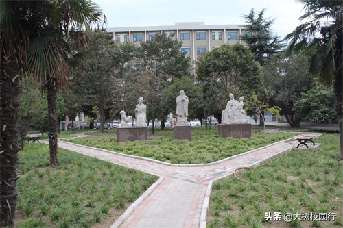 《大树校园行》之河南工业大学嵩山路校区