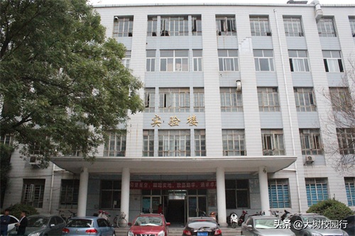 《大树校园行》之河南工业大学嵩山路校区