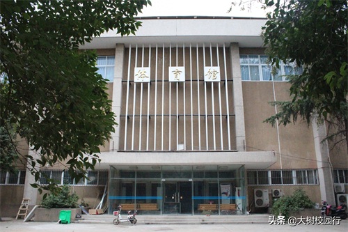 《大树校园行》之河南工业大学嵩山路校区