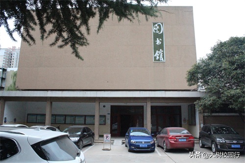 《大树校园行》之河南工业大学嵩山路校区