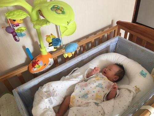 飞向别人的床为什么被禁