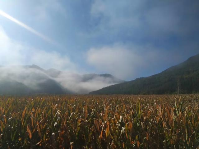 宽甸各镇地图（地图城市03丹东宽甸）(10)